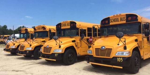 Buses are Rolling Again